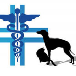 ambulatorio veterinario